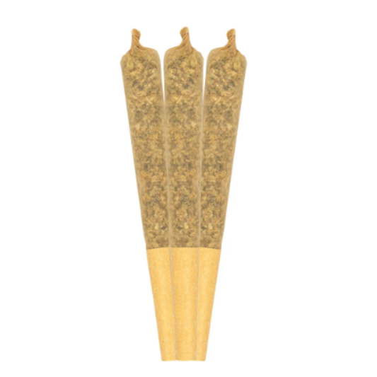 RAD - Tropical Beast Infused Pre-Rolls