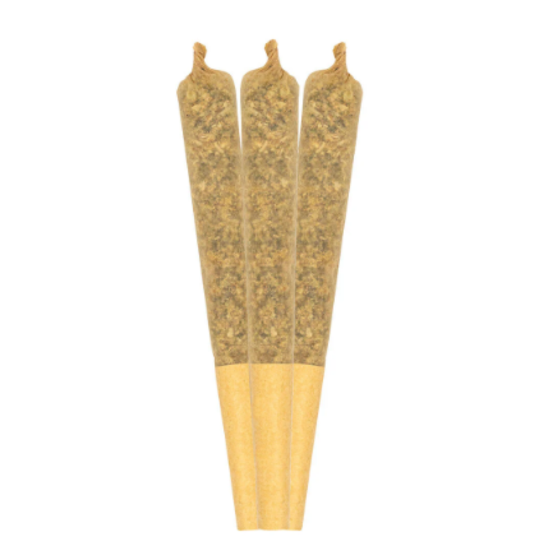 Tropical Beast Infused Pre-Rolls